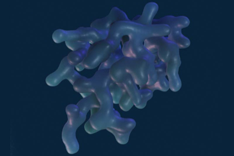Protein Database